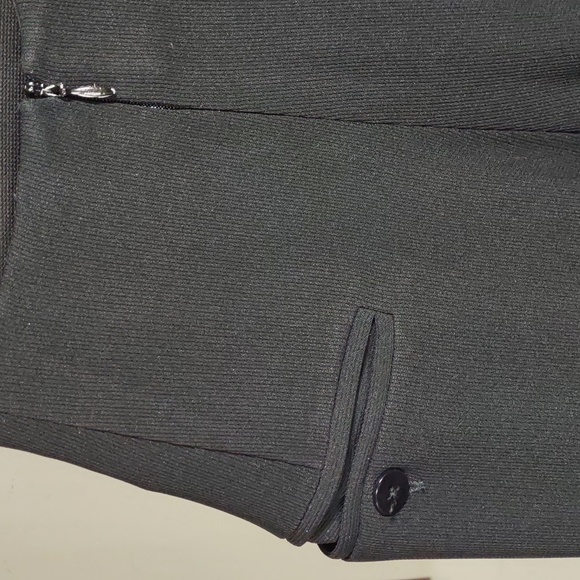 Iris Singer Collection Pleat Front Pants - Picture 6 of 14